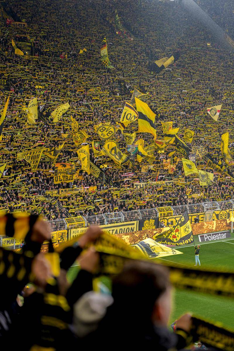 包含集结日全明星赛传出新动向；巴黎圣日耳曼战术微调；管理层表态——压力陡增；高层口径保持一致的词条-开云娱乐